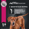 Eukanuba Adult Large Breed (Ягненок), 2.5 кг
