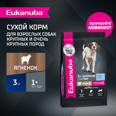 EUKANUBA Adult Large Lamb для собак 3 кг