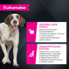 EUKANUBA Adult Large Lamb для собак 3 кг