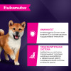 EUKANUBA Puppy S&M Lamb для собак 0,8кг