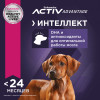 Eukanuba Puppy Large Breed (Птица), 3 кг