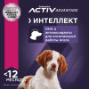 Eukanuba Puppy Medium Breed (Птица), 3 кг