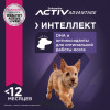 Eukanuba Puppy Small Breed (Птица), 3 кг