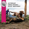 Eukanuba Senior 7+ Large (Птица), 15 кг