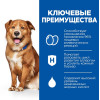Hill's Prescription Diet Derm Complete для собак, 2 кг