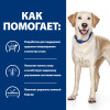 Hill's Prescription Diet d/d Food Sensitivities для собак (утка, рис), 12 кг