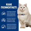 Hill's Prescription Diet c/d Multicare Urinary Stress для кошек, с рыбой, 1.5 кг