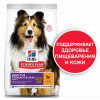 Hill's Science Plan Sensitive Stomach & Skin для собак средних пород (курица), 12 кг Hill's Science Plan Sensitive Stomach & Skin для собак средних пород (курица), 12 кг
