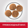 Hill's Science Plan Sensitive Stomach & Skin для собак средних пород (курица), 12 кг
