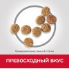 Hill's Science Plan Light для собак мелких пород для поддержания здорового веса (курица), 1.5 кг