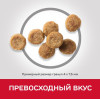 Hill's Science Plan Senior Vitality для собак мелких пород старше 7 лет (курица, рис), 250 г