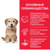 Hill's Science Plan Senior Vitality для собак мелких пород старше 7 лет (курица, рис), 250 г