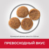Hill's Science Plan Perfect Weight для собак средних пород (курица), 12 кг
