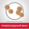 Hill's Science Plan для кошек для поддержания жизненной энергии и иммунитета (утка), 300 г