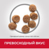 Hill's Science Plan для щенков мелких пород для поддержания здорового роста и развития (курица), 1.5 кг