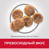 Hill's Science Plan для собак мелких пород для поддержания здоровья кожи и шерсти (курица), 6 кг