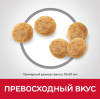 Hill's Science Plan для кошек для поддержания жизненной энергии и иммунитета (курица), 10 кг