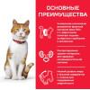 Hill's Science Plan для молодых стерилизованных кошек и кастрированных котов (лосось), 85 г