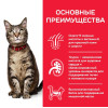 Hill's Science Plan Влажный корм для кошек для поддержания жизненной энергии и иммунитета (говядина), 85 г