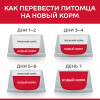Hill's Science Plan Влажный корм для котят для здорового роста и развития (индейка), 85 г