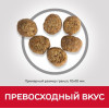 Hill's Science Plan Perfect Weight для кошек, склонных к избыточному весу (курица), 1.5 кг