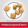 Hill's Science Plan Oral Care для кошек (курица), 1.5 кг