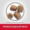 Hill's Science Plan Performance для собак для поддержания жизненной энергии и иммунитета (курица), 12 кг