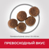 Hill's Science Plan для щенков средних пород для поддержания сильного иммунитета (курица), 800 г