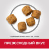 Hill's Science Plan для средних пород старше 7 лет (ягненок, рис), 12 кг