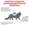 Royal Canin Anallergenic Cat, 2кг