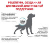 Royal Canin Anallergenic Dog