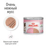 Royal Canin Babycat Instinctive (мусс), 195 г