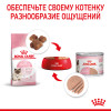 Royal Canin Babycat Instinctive (мусс), 195 г