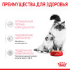 Royal Canin Babycat Instinctive (мусс), 195 г