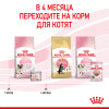 Royal Canin Babycat Instinctive (мусс), 195 г