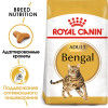 Royal Canin Bengal Adult для кошек