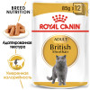 Royal Canin British Shorthair Adult (соус), 85 г