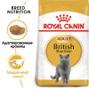 Royal Canin British Shorthair Adult для кошек