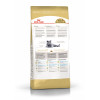 Royal Canin British Shorthair Adult для кошек