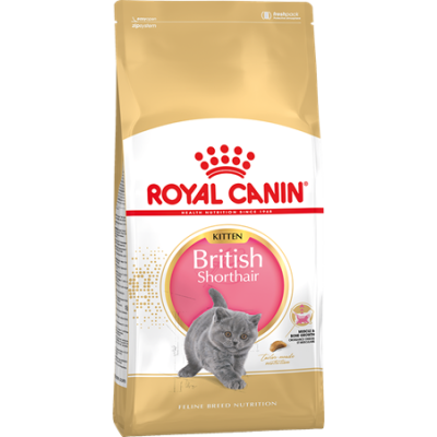 Royal Canin British Shorthair Kitten для котят