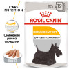 Royal Canin Dermacomfort Canine Adult (паштет), 85 г
