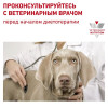 Royal Canin Early Renal Dog (в соусе), 100г