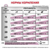 Royal Canin Early Renal Dog