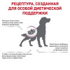 Royal Canin Early Renal Dog
