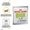 Royal Canin Cavalier King Сharles Puppy 1,5кг + EDUC 50г