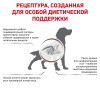 Royal Canin Gastrointestinal Dog