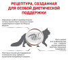 Royal Canin Gastrointestinal Moderate Calorie Cat