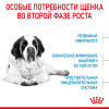 Royal Canin Giant Junior для собак