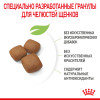 Royal Canin Giant Junior для собак
