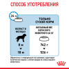 Royal Canin Giant Junior для собак